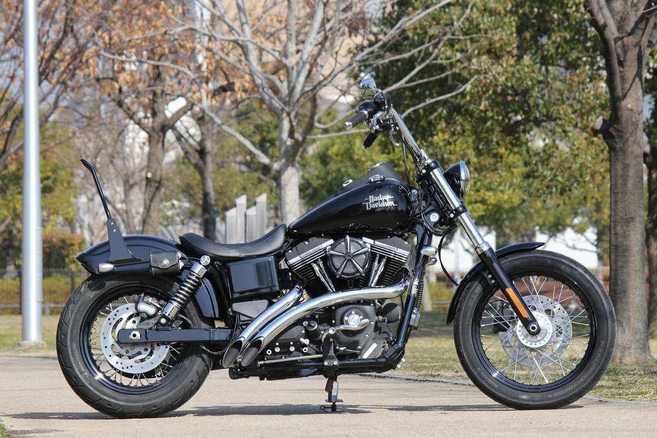 ShortRib Fender DYNA