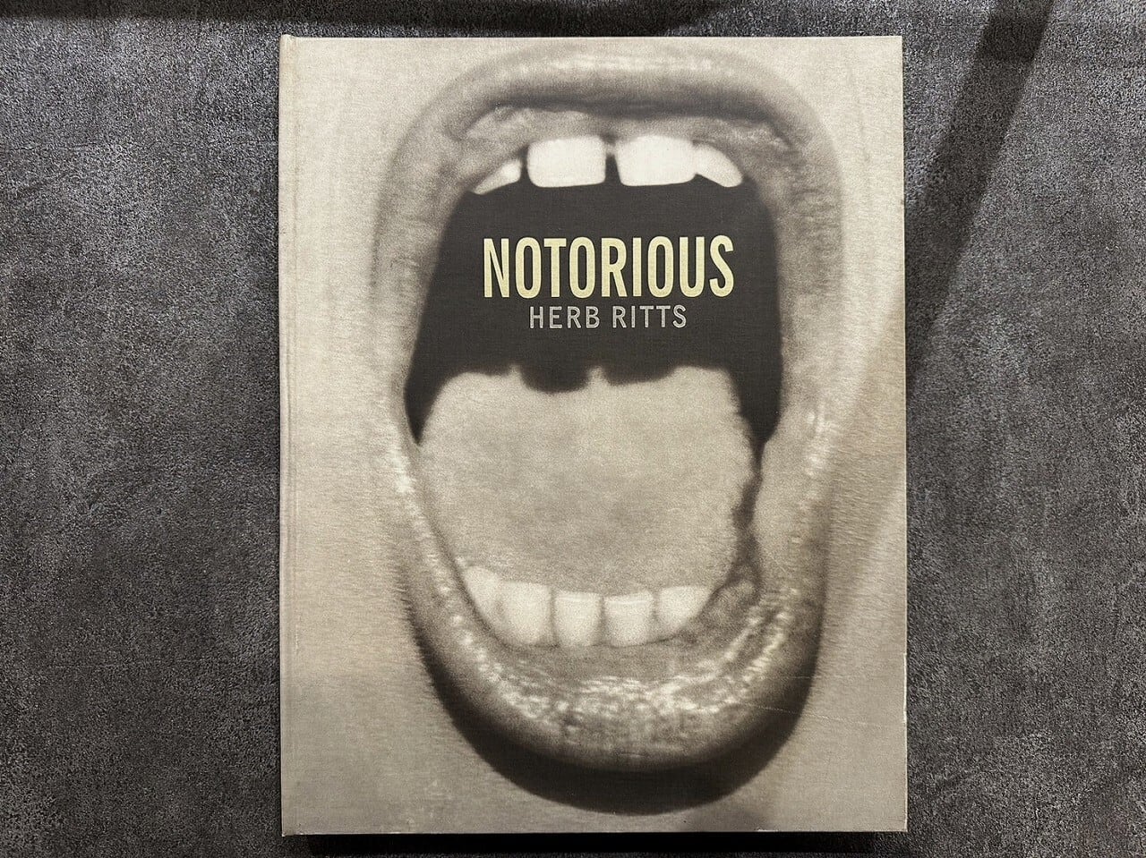 【VA548】Notorious /Herb Ritts