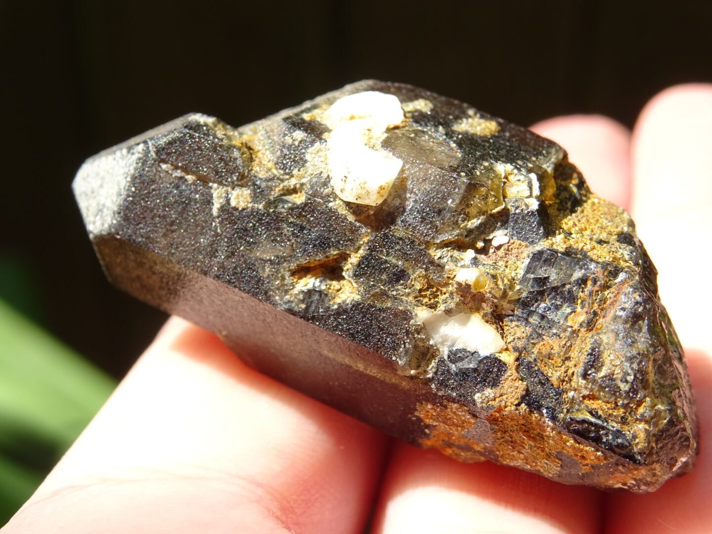 中津川 Morion」 岐阜・中津川黒水晶、カテドラル | 虹石屋