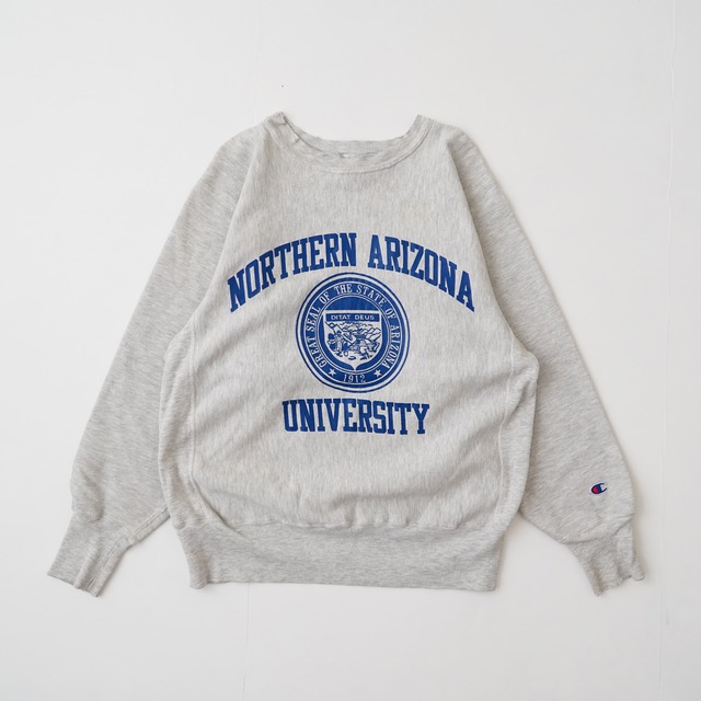 90s Champion college reverse weve sweat