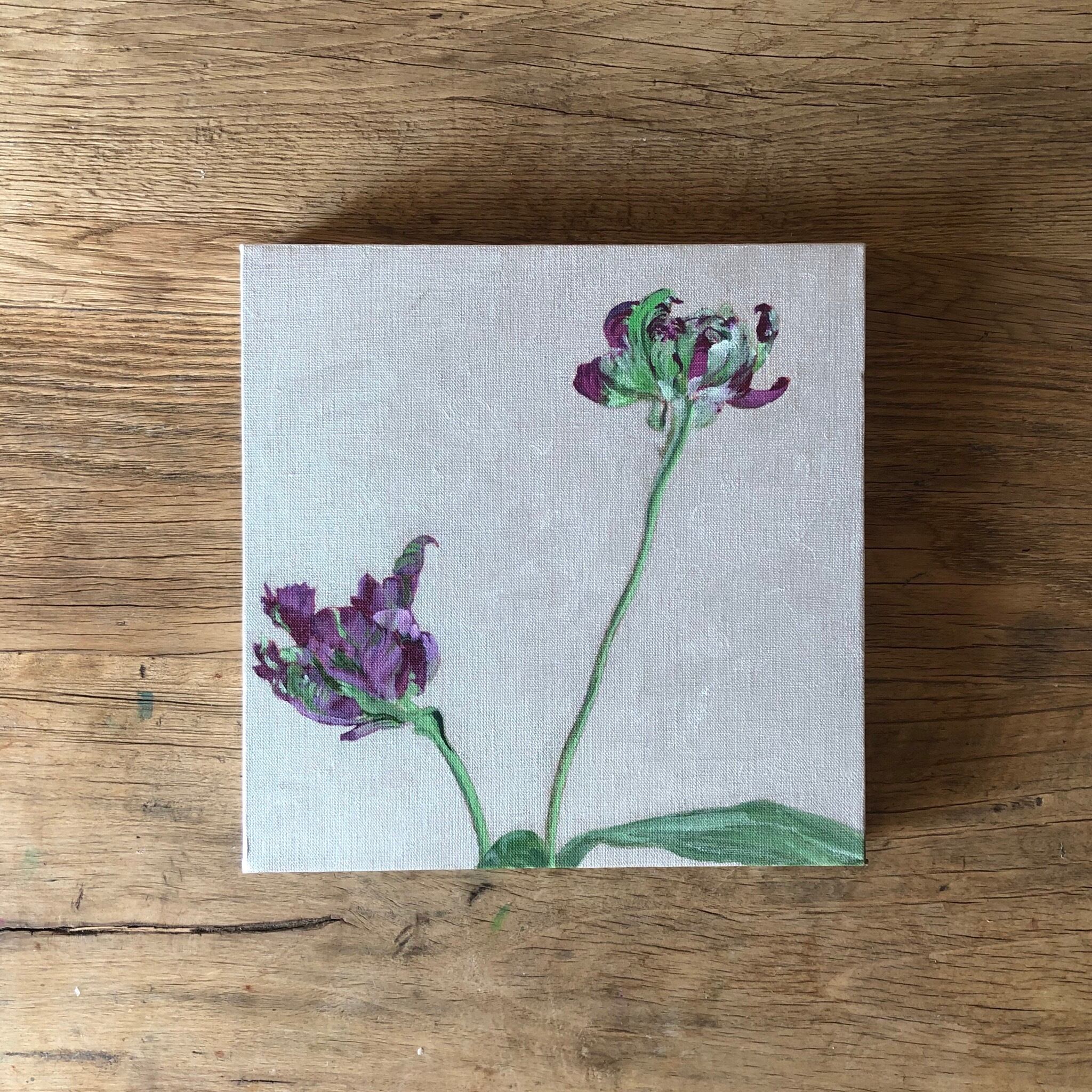 紫のチューリップⅠ - Purple TulipsⅠ