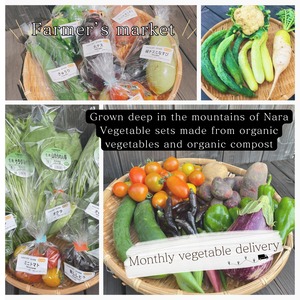 Organic vegetables monthly set (regular delivery)S size.