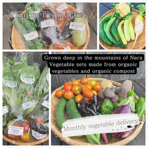 Organic vegetables monthly set (regular delivery)S size.