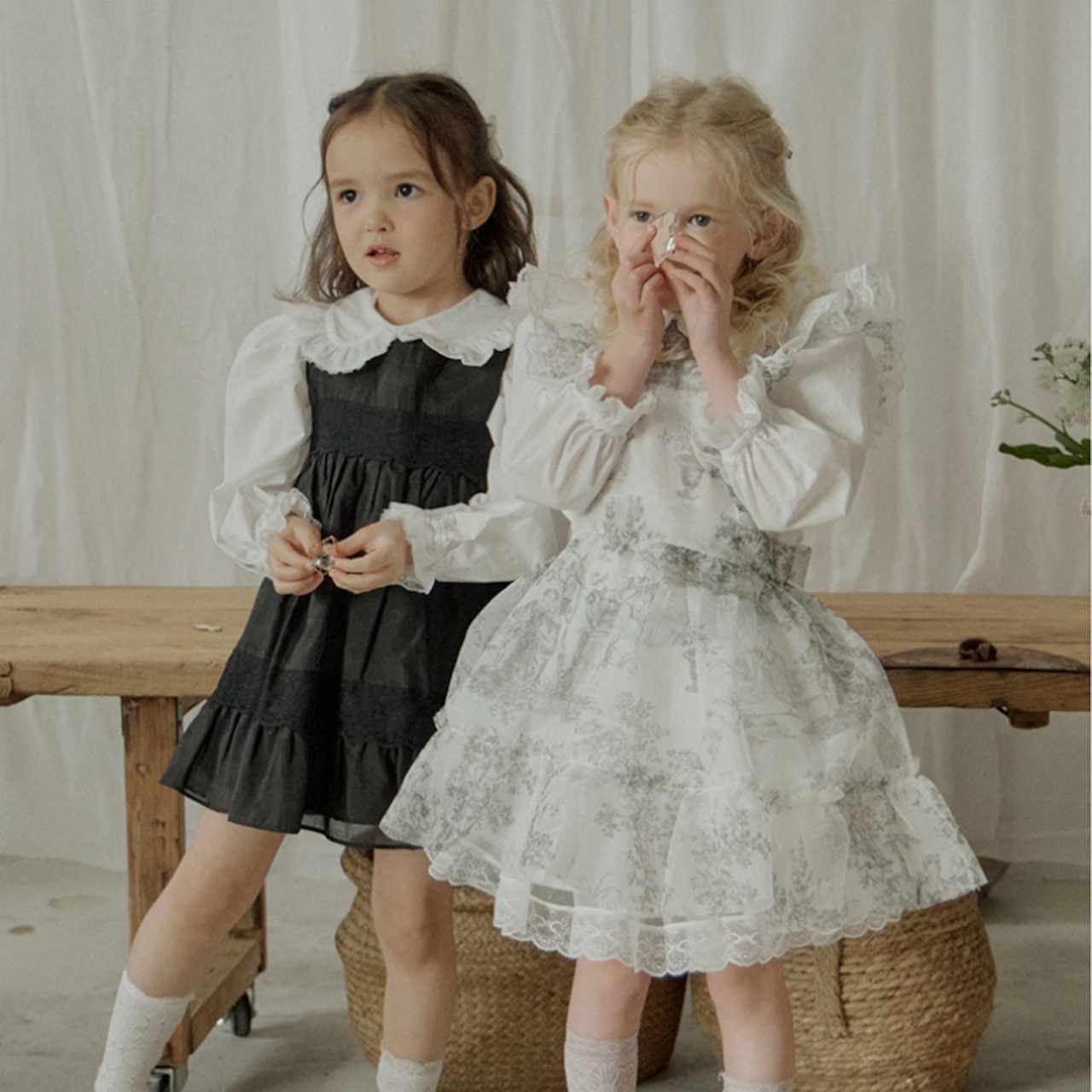 秋レースフリルオーガンザブラウス3色