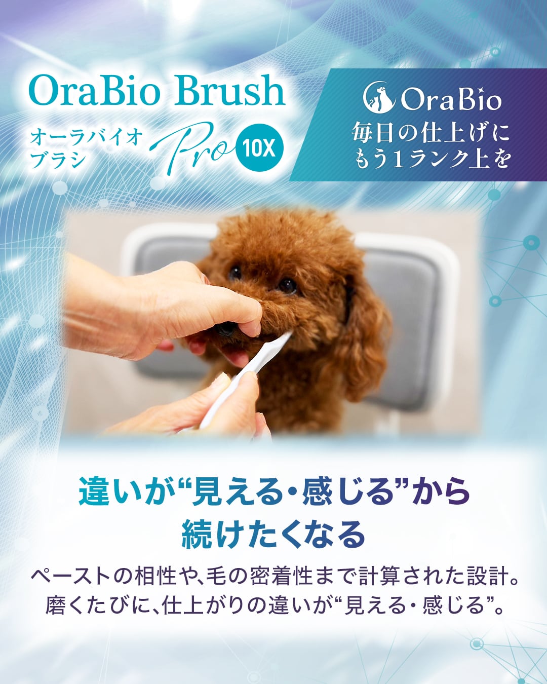 オーラバイオブラシPRO 10X（歯科衛生士推奨） | BYRON公式ショップ