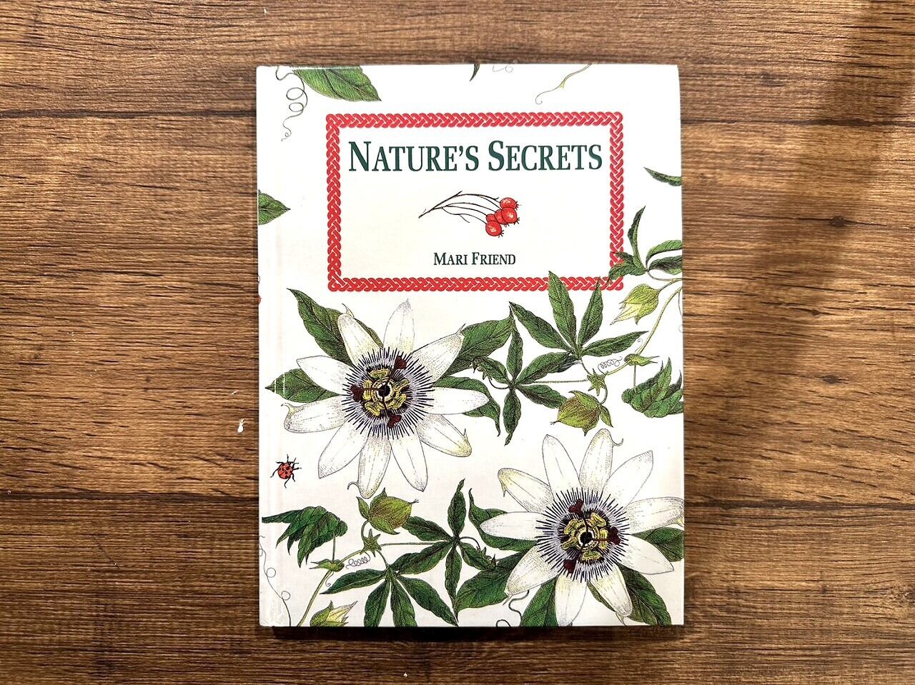【VW156】Natures Secrets /visual book