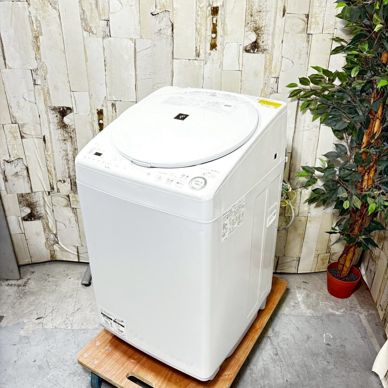 D 25960【2022年製】SHARP シャープ ES-TX8G-W 洗濯機 8.0kg