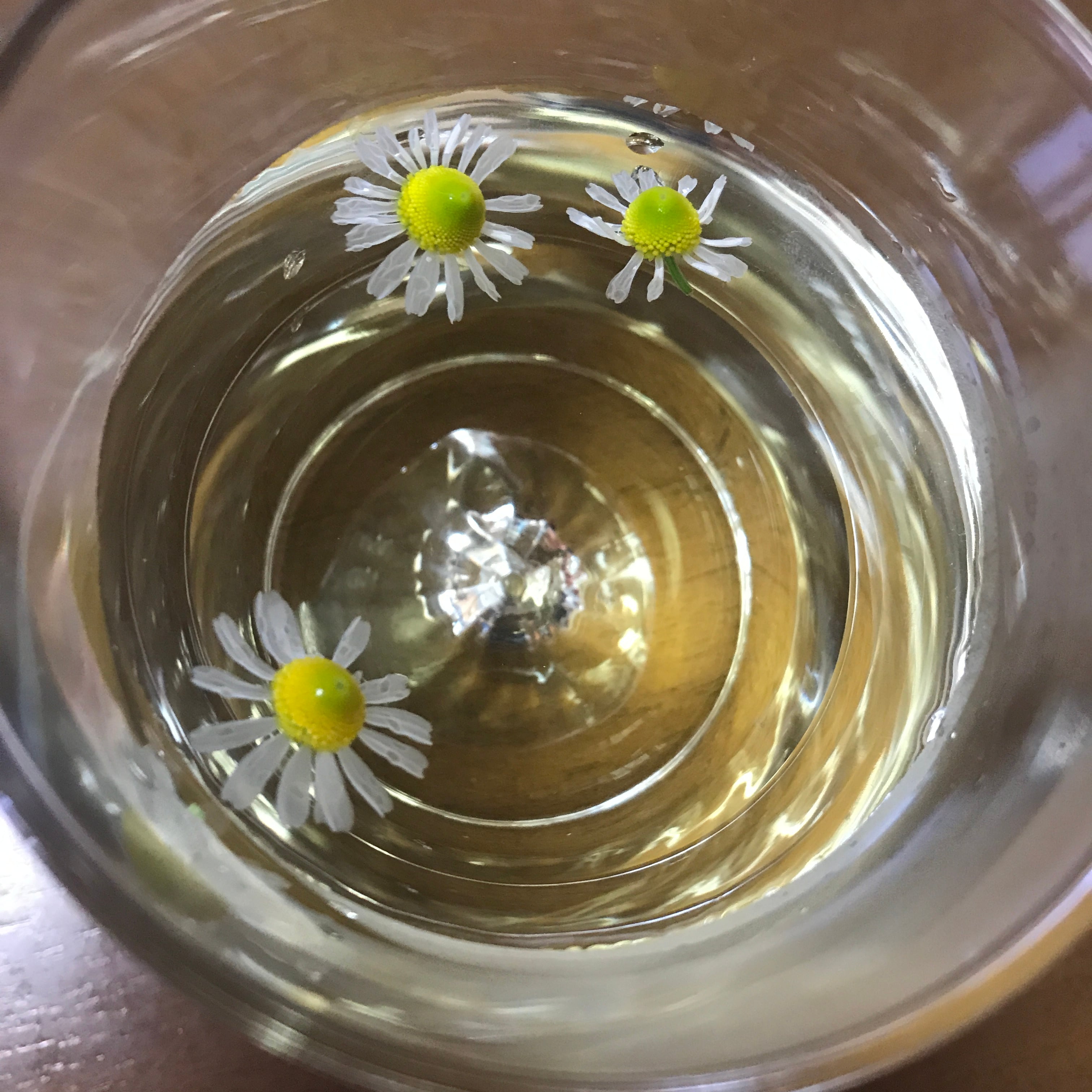 カモミール茶 40g 100 カモミールティー 化学肥料不使用 国産 安曇野産 自然栽培 農薬不使用 最大85 オフ 自然栽培