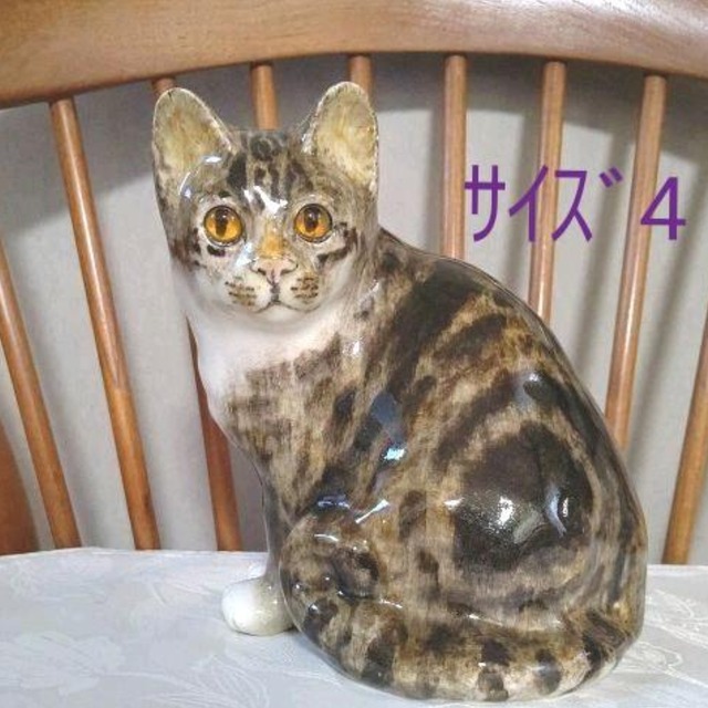 【SOLD OUT】⭐️ウィンスタンレイキャット(ケンジントンキャット)サイズ「4」の成猫