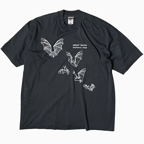 Vintage 90's【FRUIT OF THE LOOM】"GREAT BASIN NATIONAL PARK" T-shirt