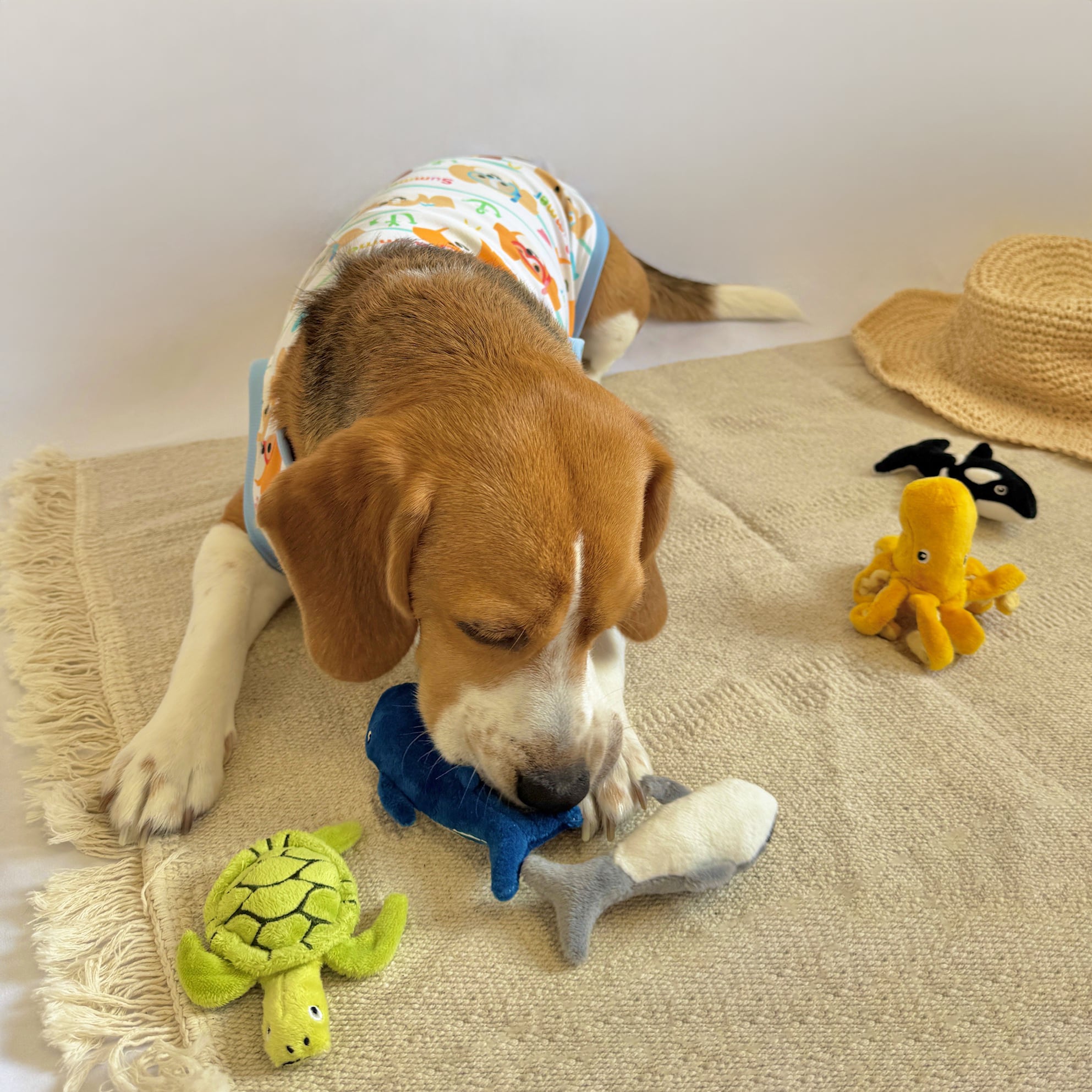 【中〜大型犬用】涼しげメッシュのビーグルタンク