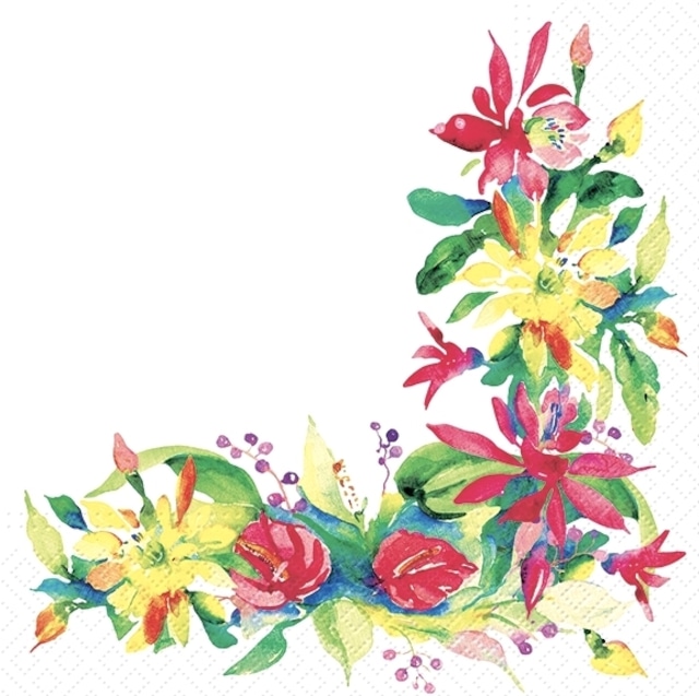 【TETE a TETE】バラ売り2枚 ランチサイズ ペーパーナプキン Fragrant Corner ホワイト