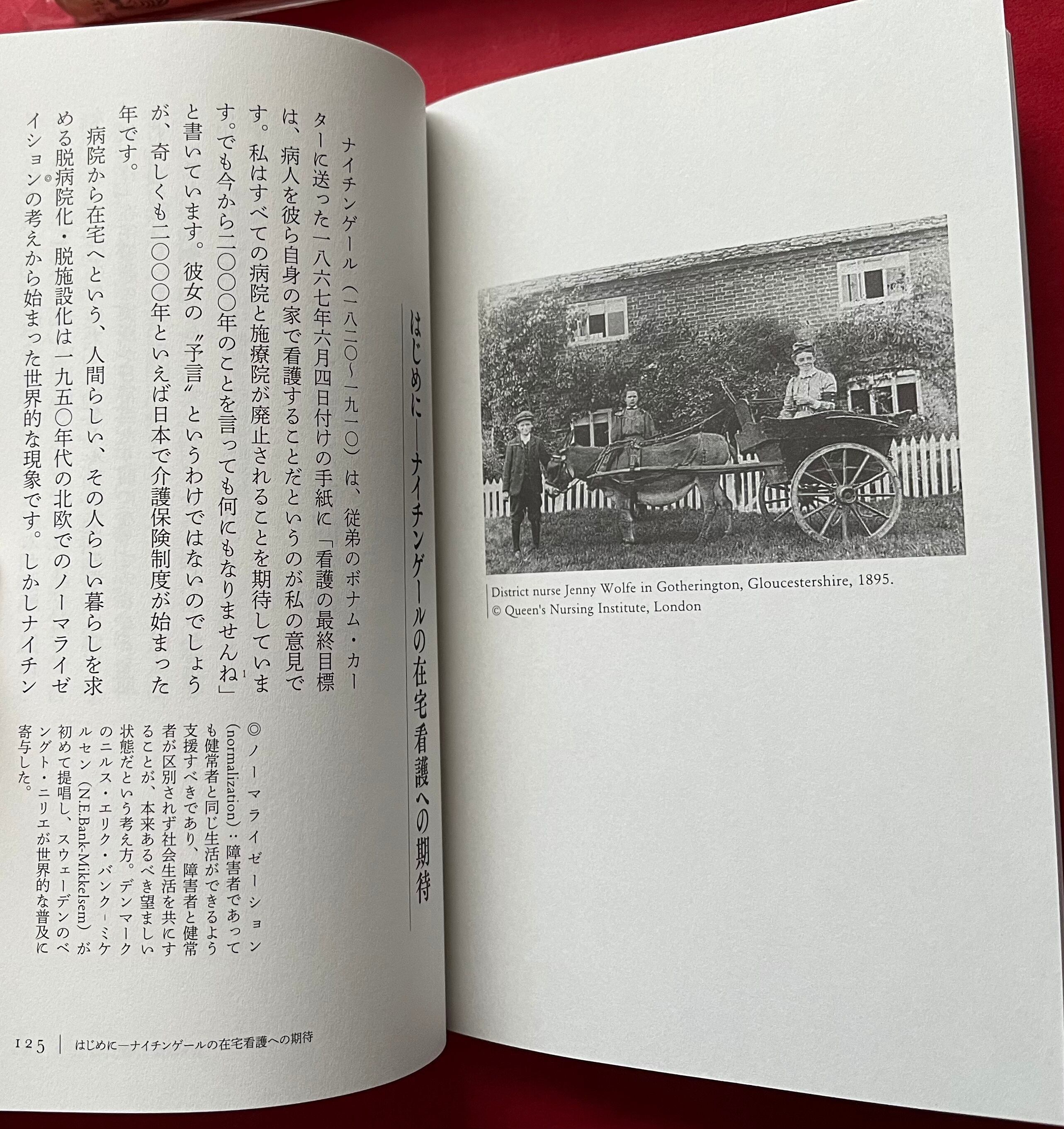 ナイチンゲールと「三重の関心」 病をいやす看護、健康をまもる看護
