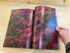 藤田はるか写真集「いくつもの音のない川」FUJITA Haruka / soundless river thumbnail 5