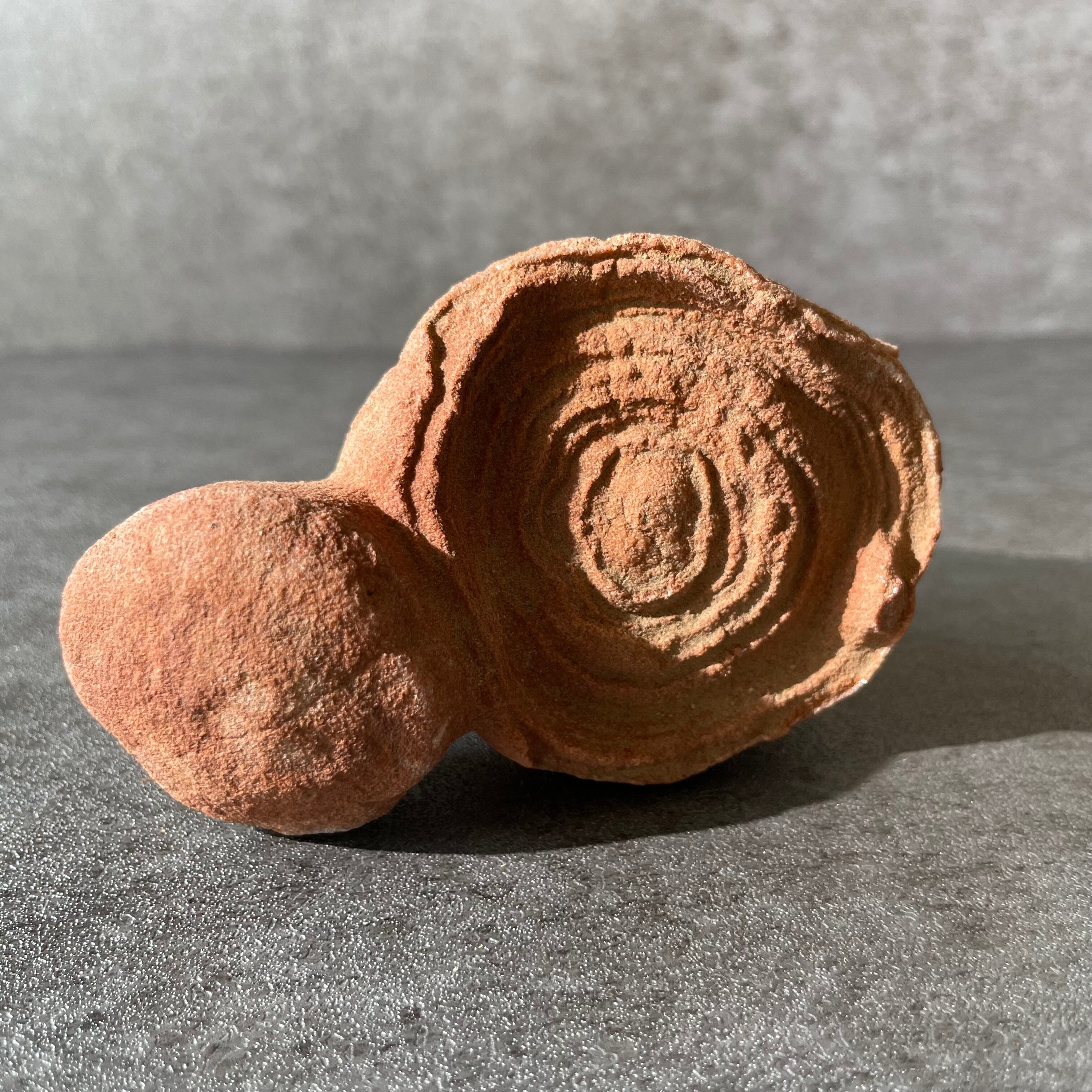 モロッコ産♦︎Stromatolite ストロマトライト|天然石 パワーストーン 鉱物 gem stone