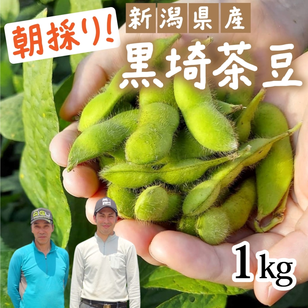 新潟県産 青木農場 枝豆 黒埼茶豆 250g × 4袋 (1kg)朝採り えだまめ くろさき茶豆 ちゃまめ 高級 新潟産 数量限定 送料無料 お中元 御中元 ギフト プレゼント 食べ物 贈り物 贈答 お取り寄せ 産地直送 クール便 冷蔵便 新潟県