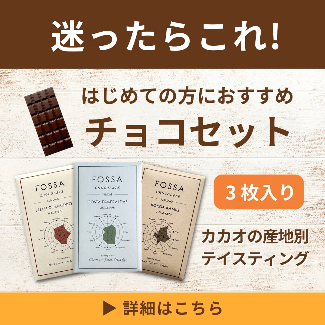 はじめてのビーントゥーバーチョコセット