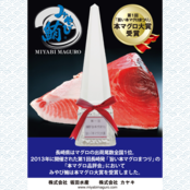 【みやび鮪】端っこたたきセット800g