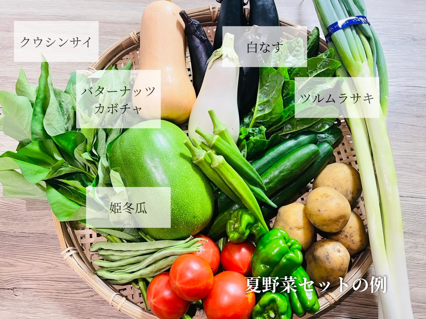 コロすけ様 野菜セット とれたて三浦野菜セット【Lサイズ】 | 小川農園