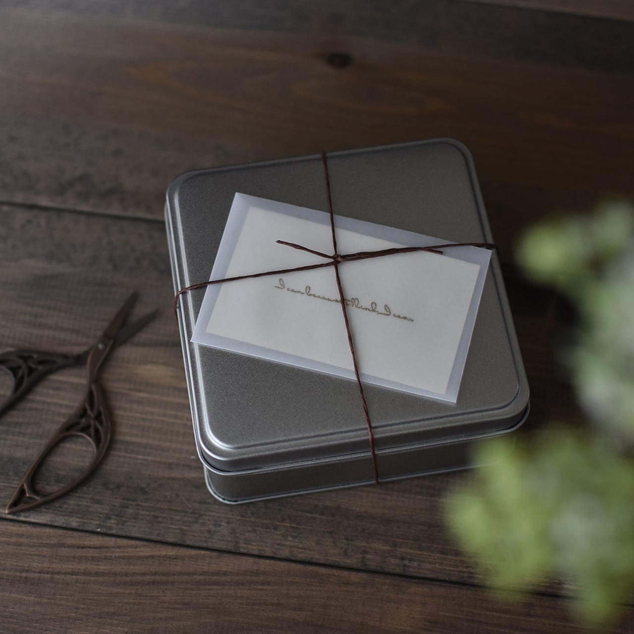 【名刺サイズ】透ける封筒 トレーシングペーパー 無地 20枚入 100×65mm