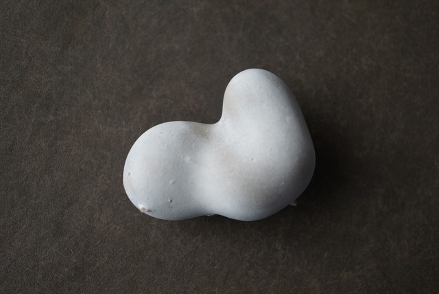 メニライトオパール Menilite Opal 1919