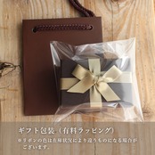 8種類の原石から2つ選べる◆イヤーカフ&チャームセット