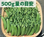 【シャキシャキ食感！】とっても甘い「スナップえんどう」約500g～