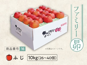 ファミリー ふじ 10kg ファミリー ふじ 10kg