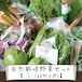信州産 自然栽培『野菜セットS』60サイズ（農薬、肥料不使用）