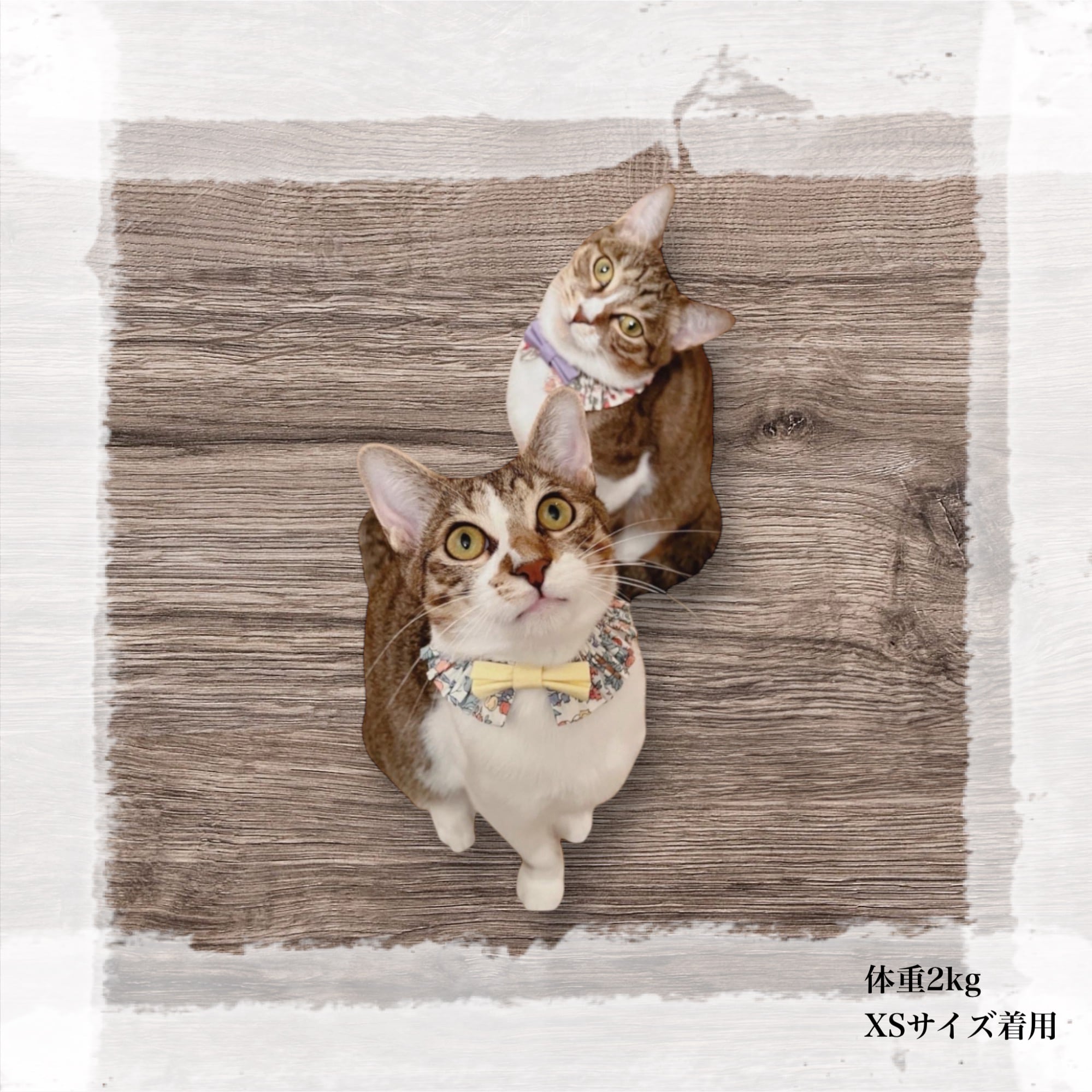 黄色小花柄、わんちゃん猫ちゃん用首輪 黄色小花柄、わんちゃん猫ちゃん用首輪