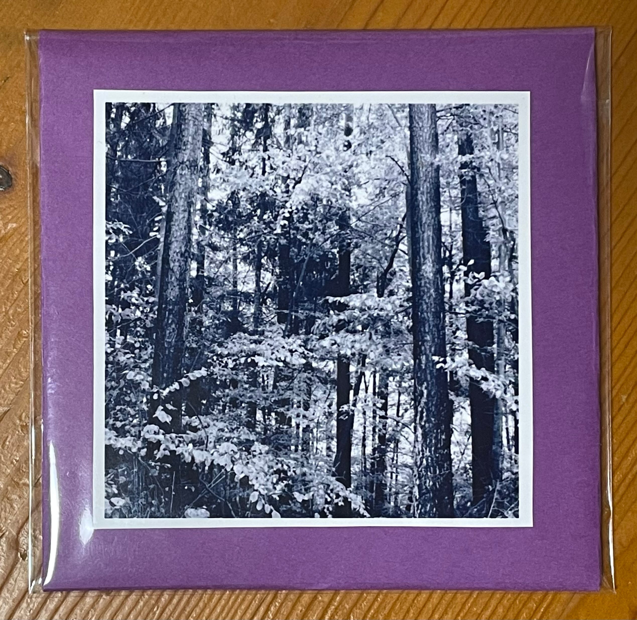 NICE VIEW″崖っぷちGIG!!″(LP) | catnoise