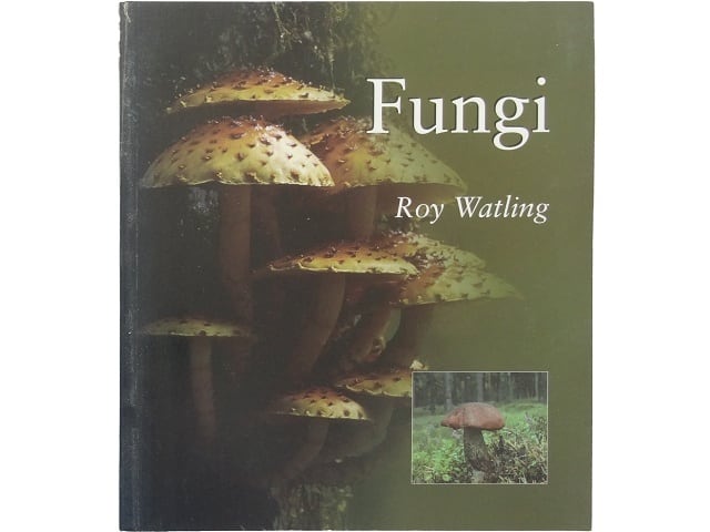 洋書◇オランダの花の傑作 作品写真集 本 植物 | 洋書堂