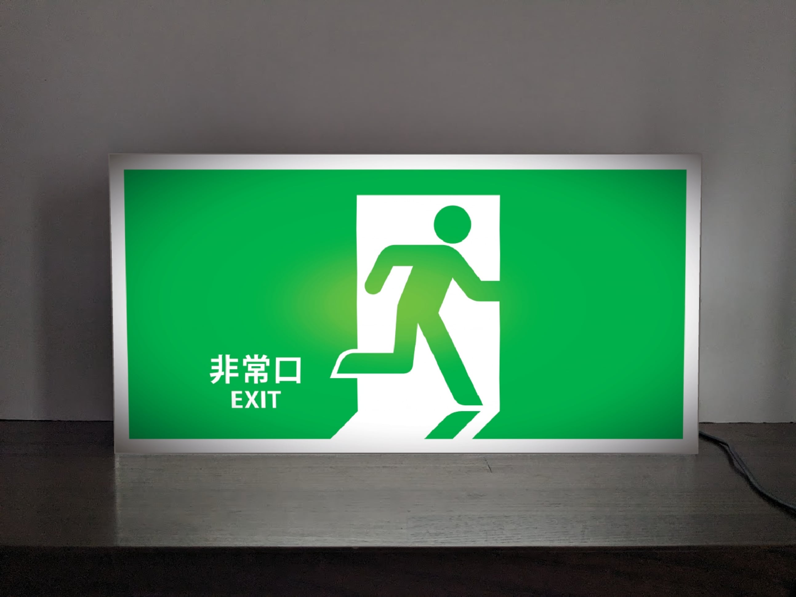 Lサイズ】非常口 矢印無し 出口 避難誘導 避難灯 災害 おもしろグッズ 