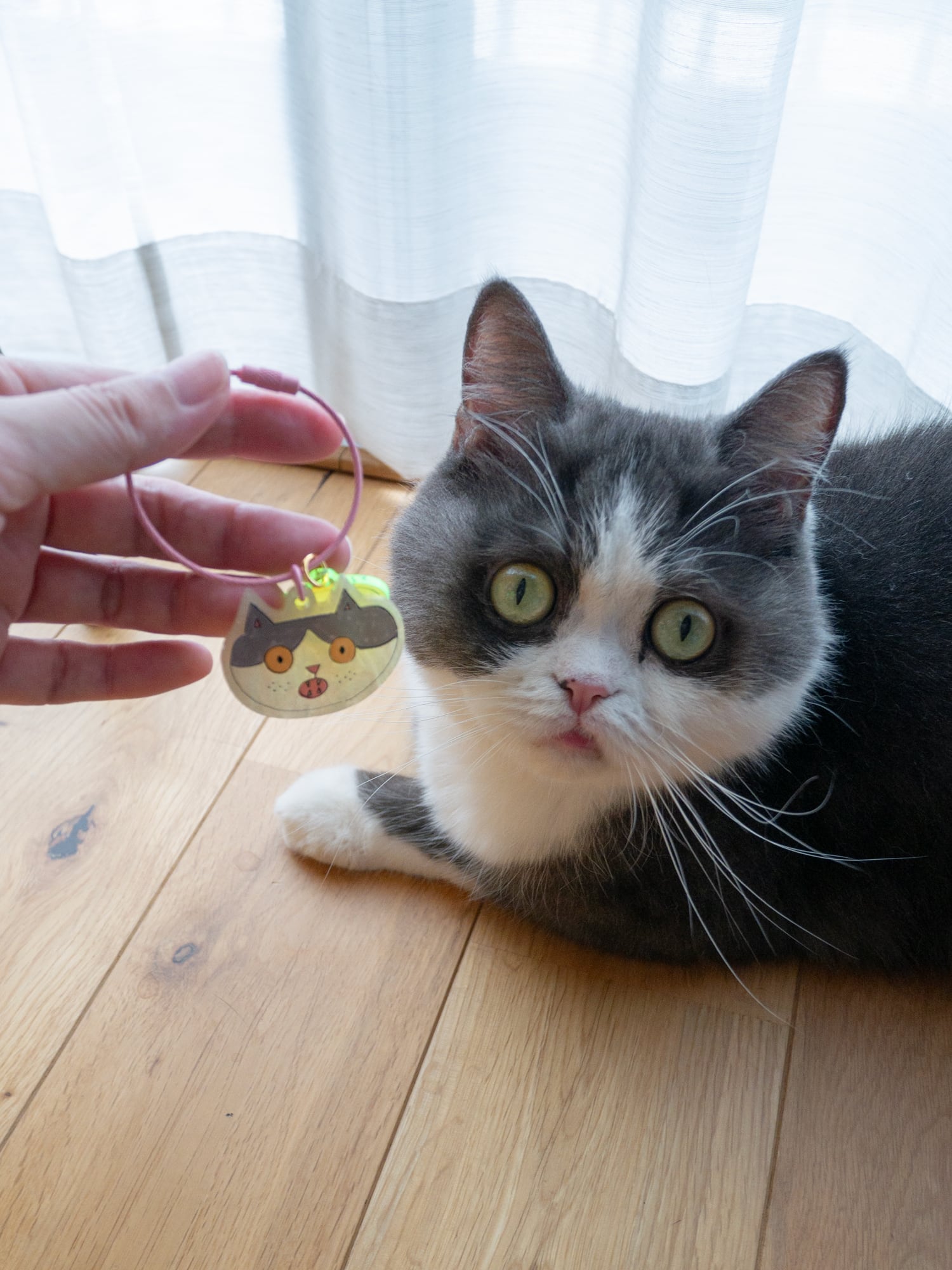 はる太キーホルダー