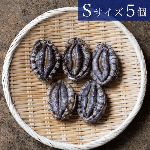 三陸産天然活アワビＳサイズ 5個（約500g）