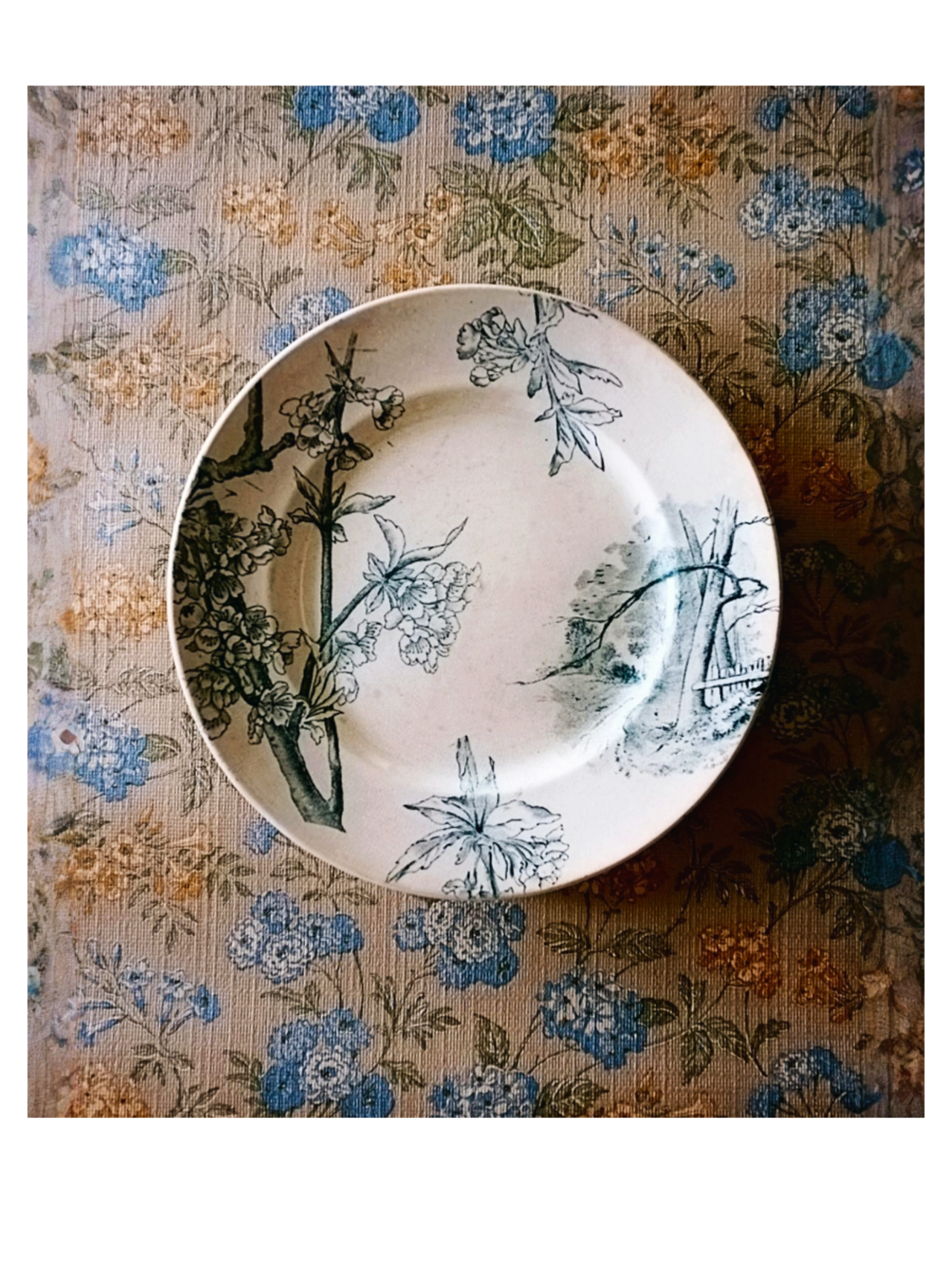 1880s Creil et Montereau 青い桜とプレートa Cerisier クレイユモントロー
