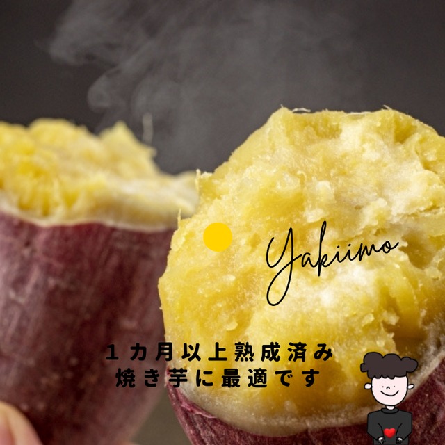 紅まさり(2kg）熟成１ヵ月以上でお届け！(滋賀県産)・(さつまいも)