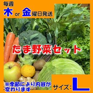 定期便【たま野菜セット　Lサイズ】毎週木～金曜日発送【送料無料(クール便)】