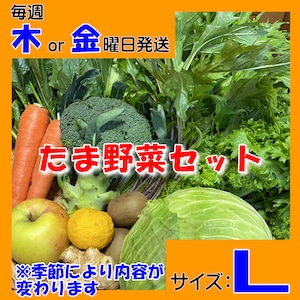 定期便【たま野菜セット　Lサイズ】毎週木～金曜日発送【送料無料(クール便)】