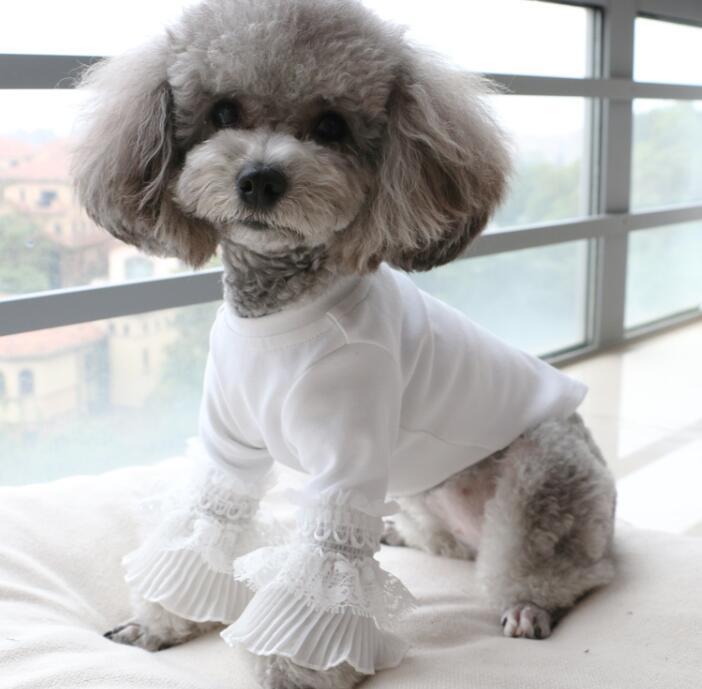 《予約》1102226 お嬢様レッグトップス