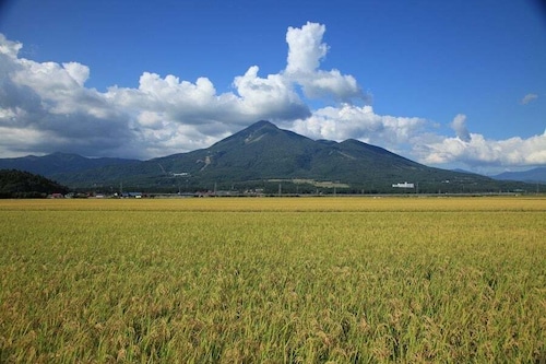 むらせライス　無洗米　福島県産ひとめぼれ　5㎏　精米　HACCP認定工場精米　の商品画像4