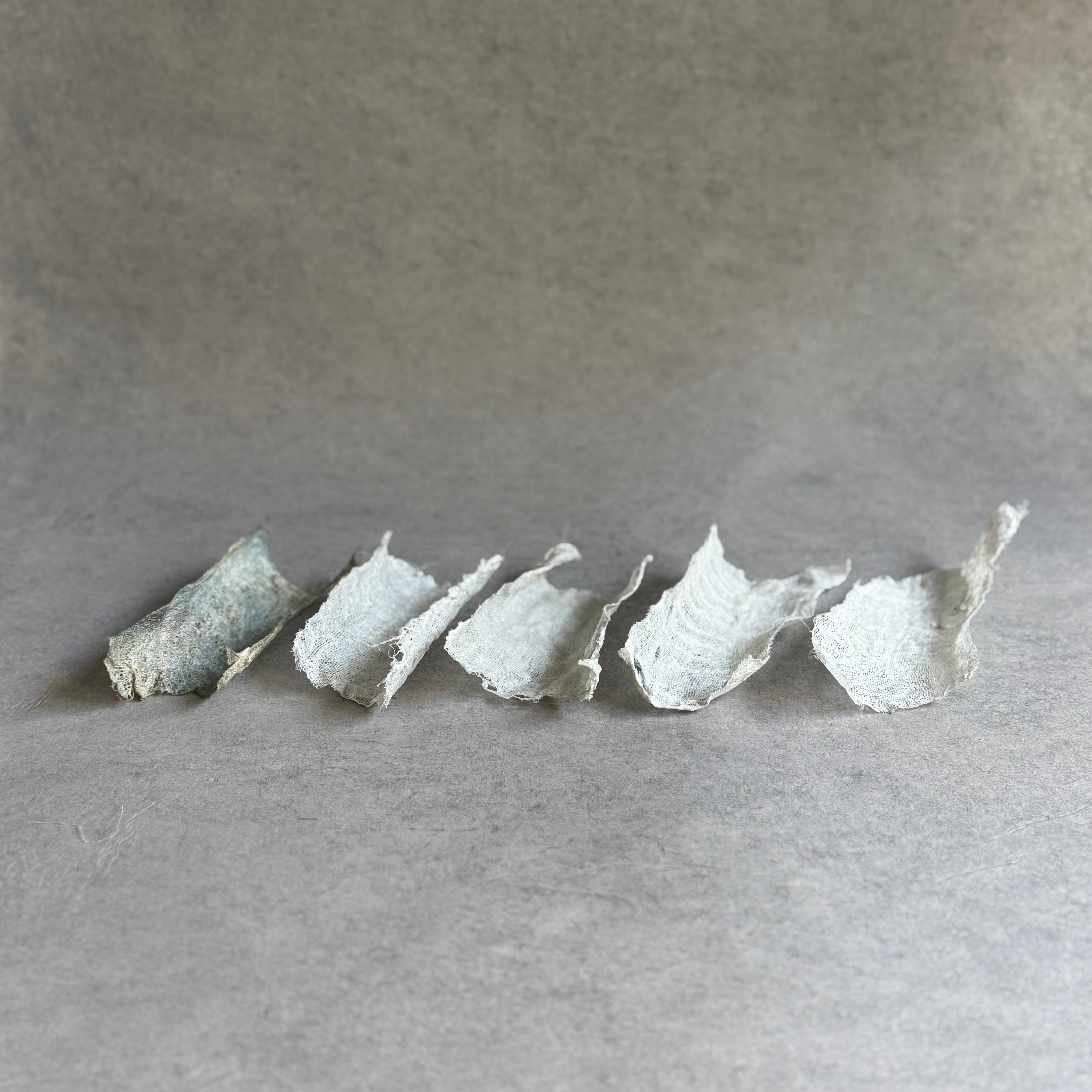 布 | gallery 一白