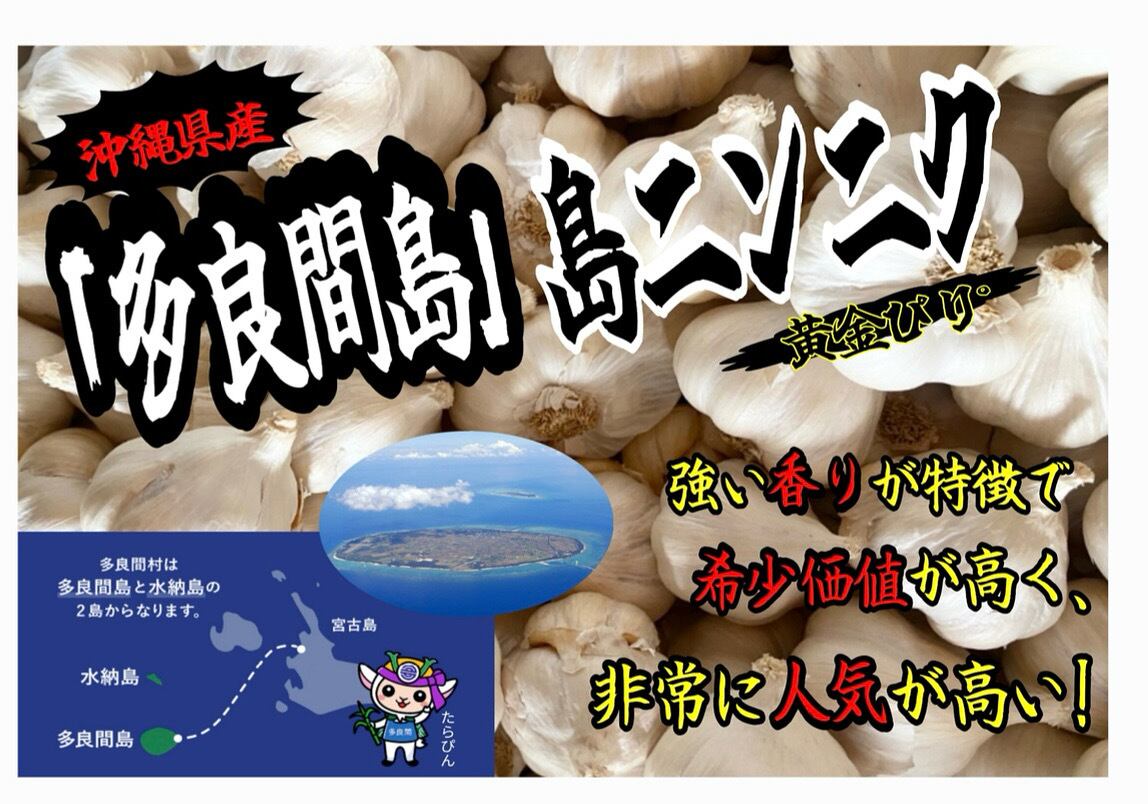 沖縄島野菜「多良間島にんにく」約100g 種子用 | wakabaseed