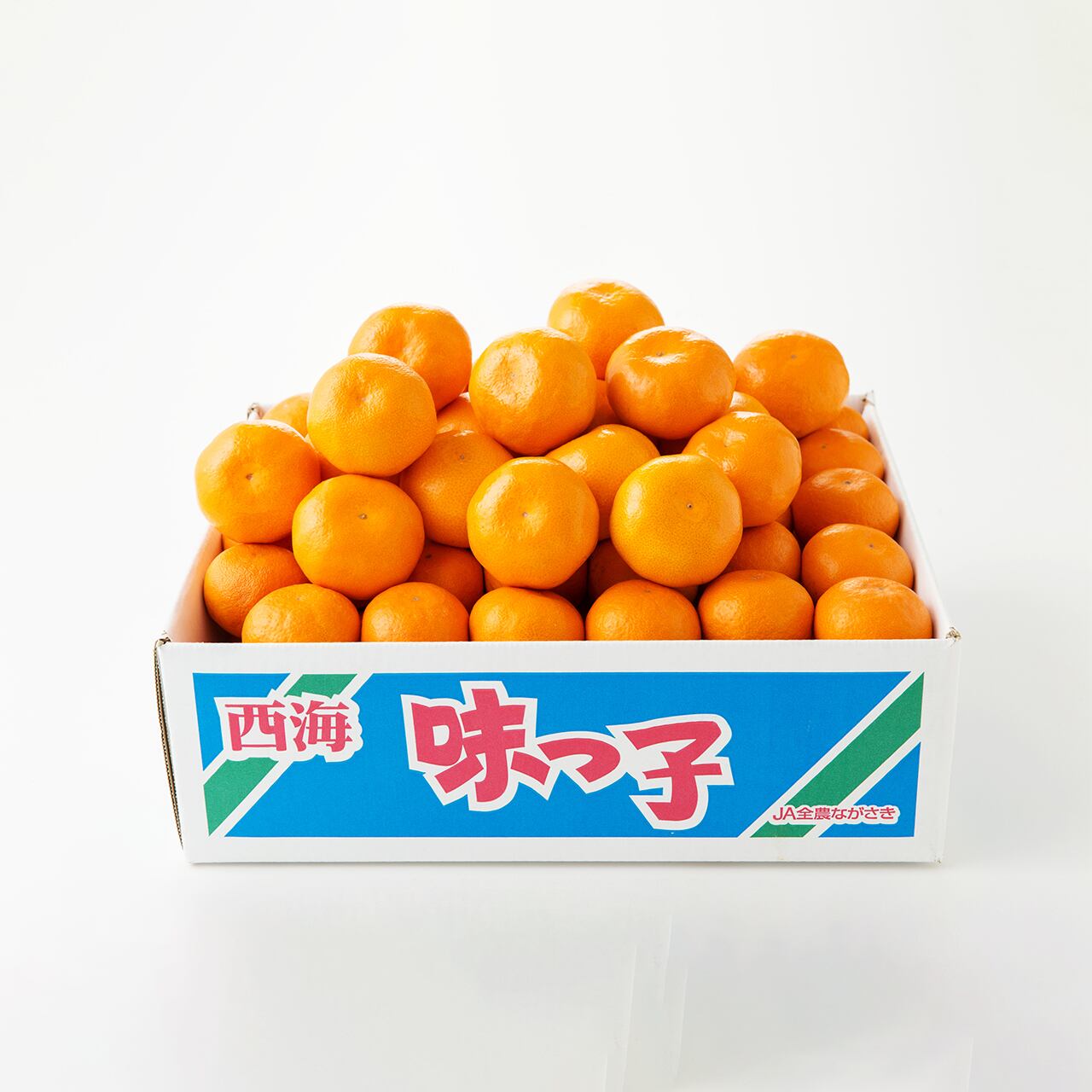 一种柑橘ページ 柑橘 | 一富士フルーツ オンラインショップ 一富士 三鷹 通販 ichifujishop