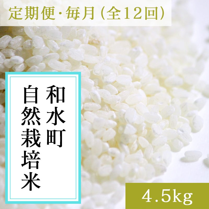 庄山さんの自然栽培米【定期便・隔月全6回】令和7年産 熊本県和水町産