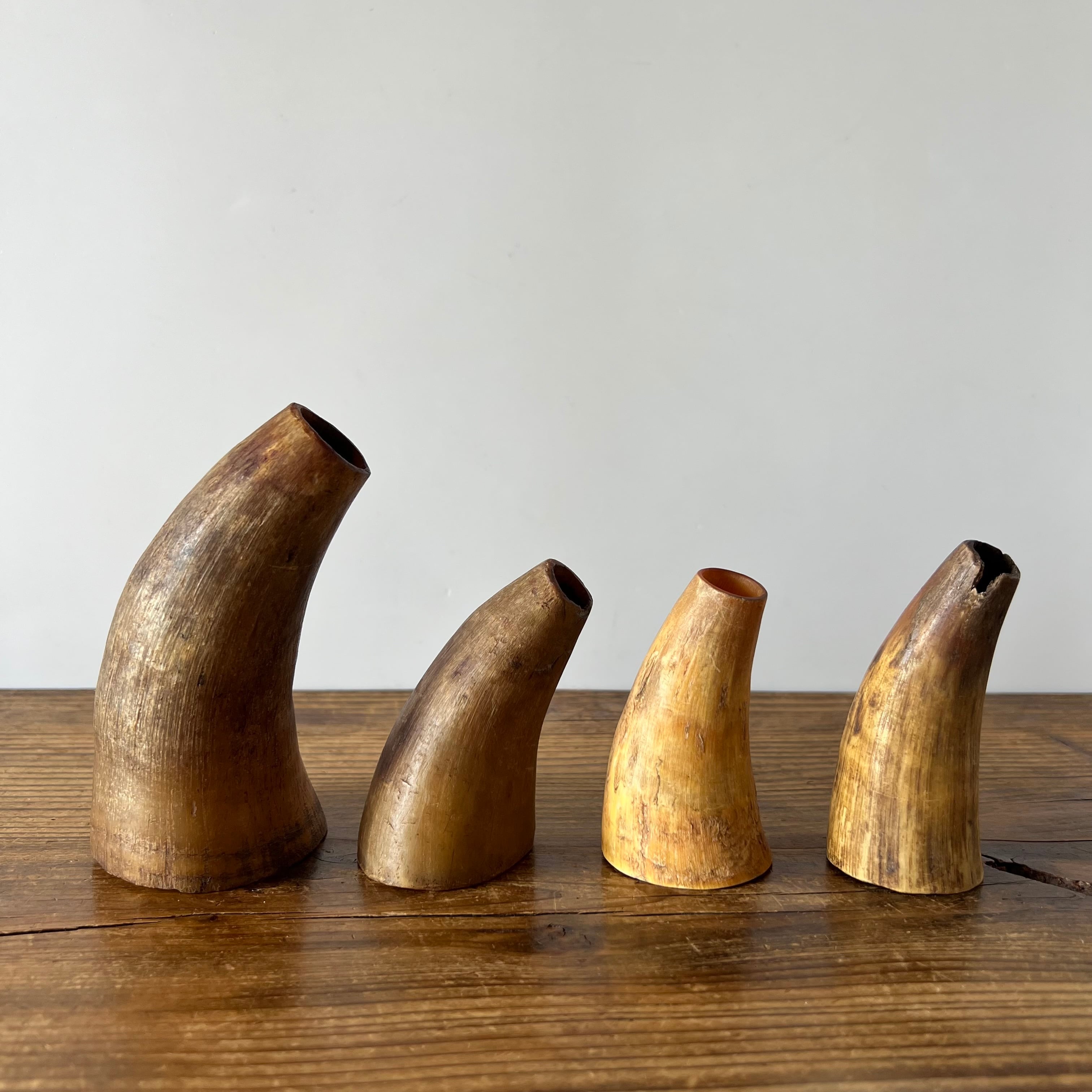 Sausage Stuffing Horn