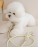 予約【stroll】Rope Leash Classic (pistàcchio)