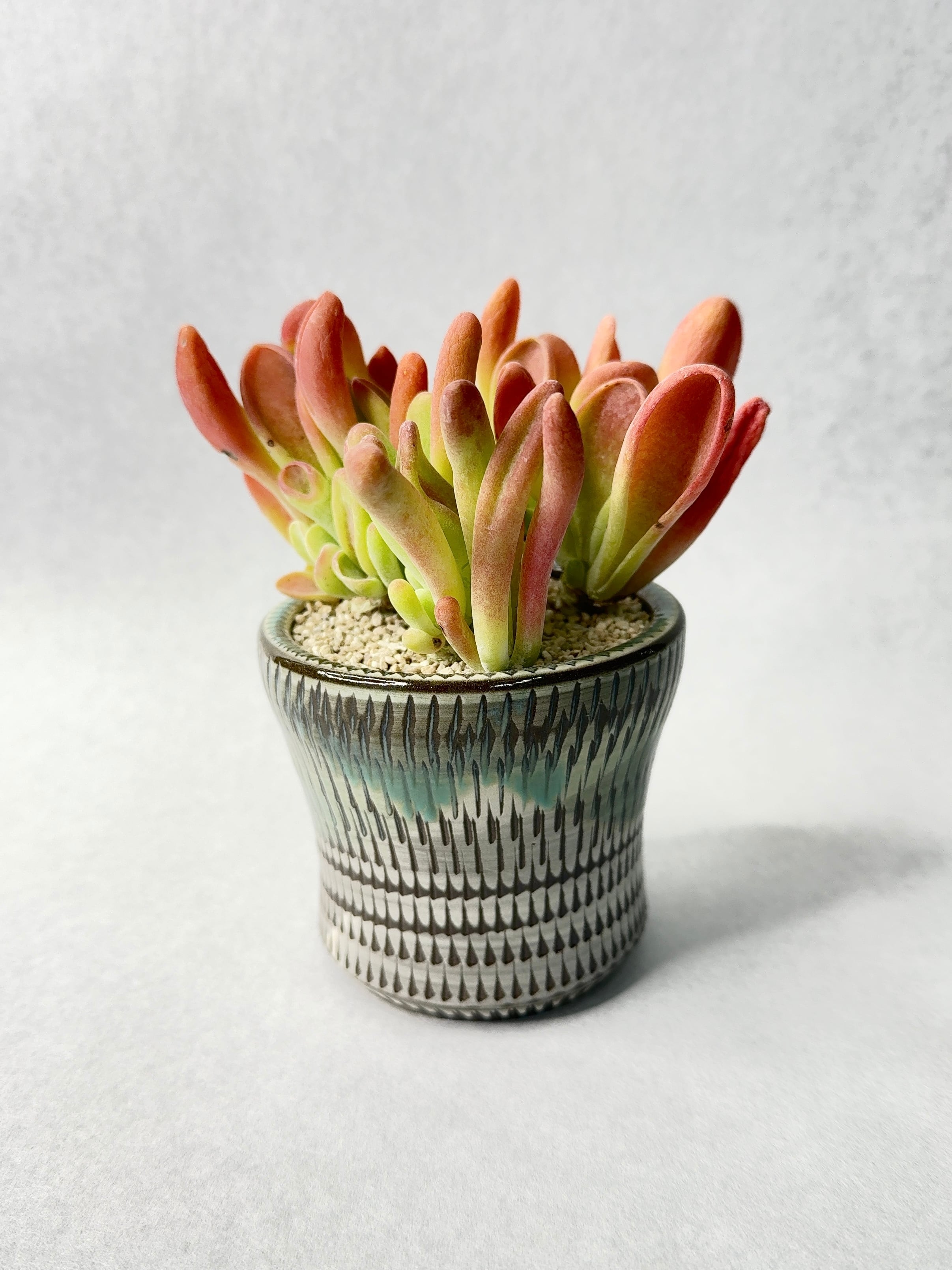 【 INDIVIDUALITY 】COLOR・橙