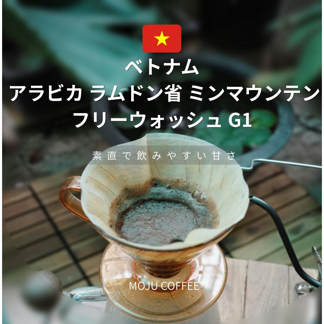 自家焙煎珈琲豆 MOJUCOFFEE ベトナム アラビカ ラムドン省 ミン
