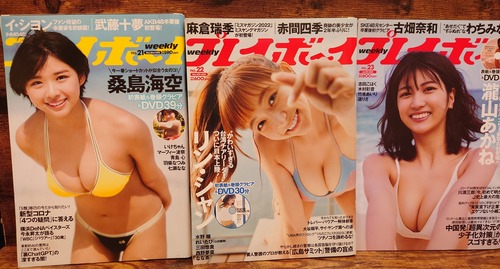 週刊　プレイボーイ　2023年No.21～29　8冊セット（DVD未開封）